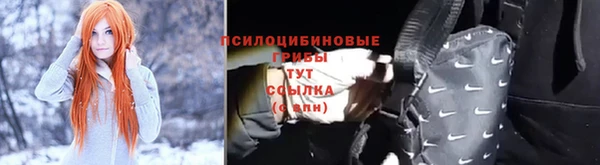 молекула духа Ахтубинск