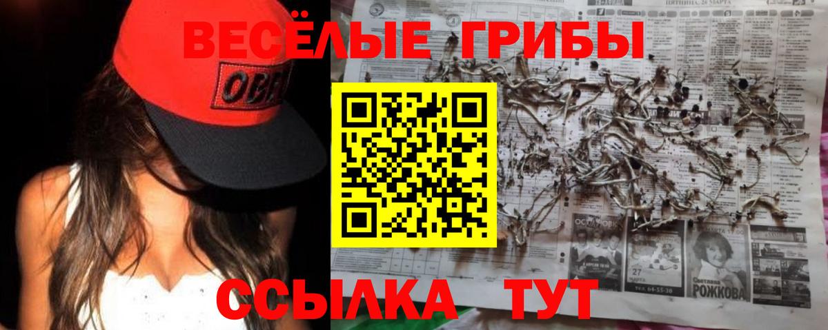 Псилоцибиновые грибы MAGIC MUSHROOMS Омск