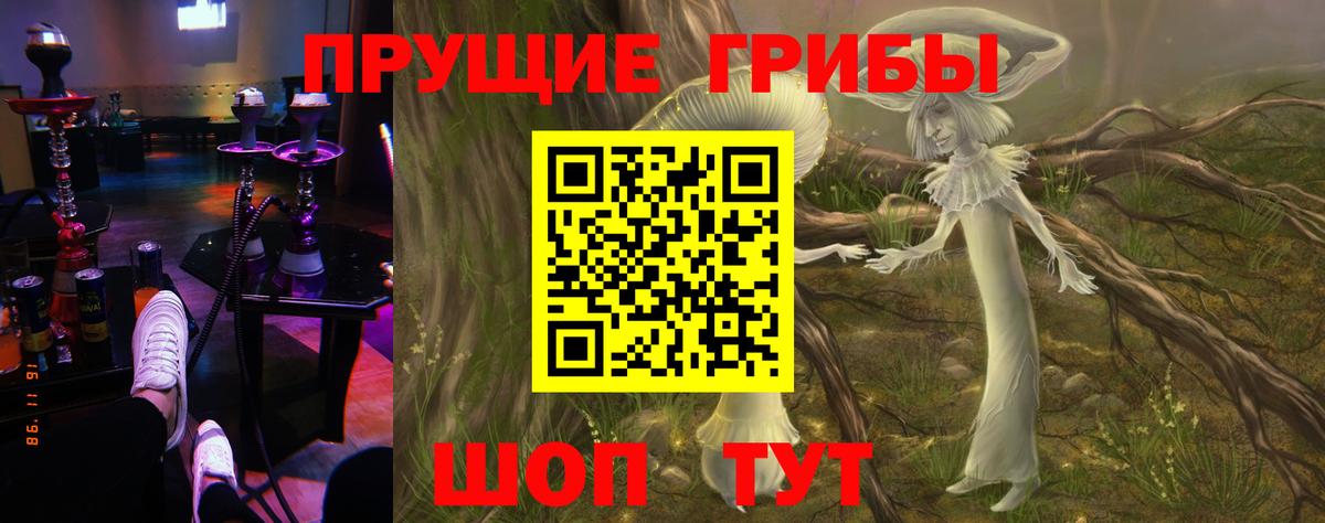 Псилоцибиновые грибы GOLDEN TEACHER  Омск 