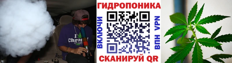 Конопля планчик  Омск 